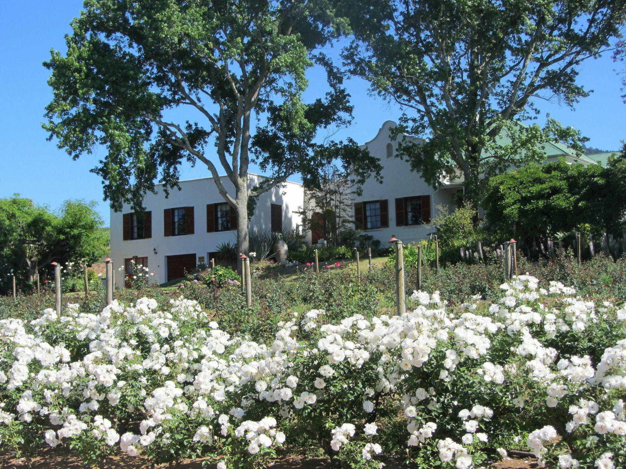 Villa Aan-Den-Weg Stellenbosch Exterior foto
